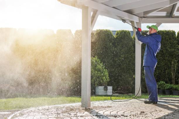 Best Gutter Cleaning  in Leadville, CO